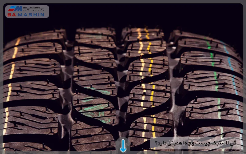 گل لاستیک چیست و چه اهمیتی دارد؟