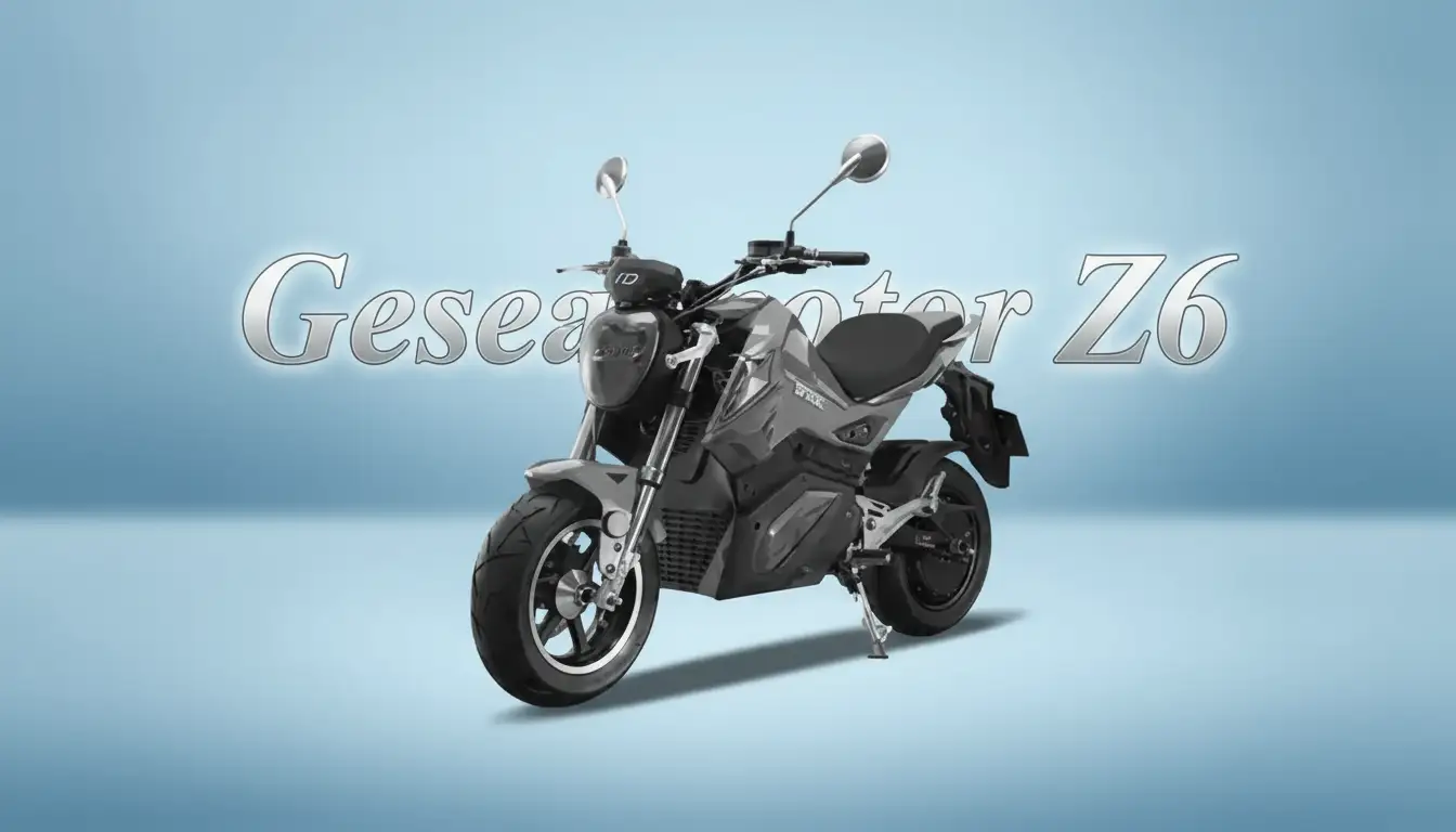 Z6