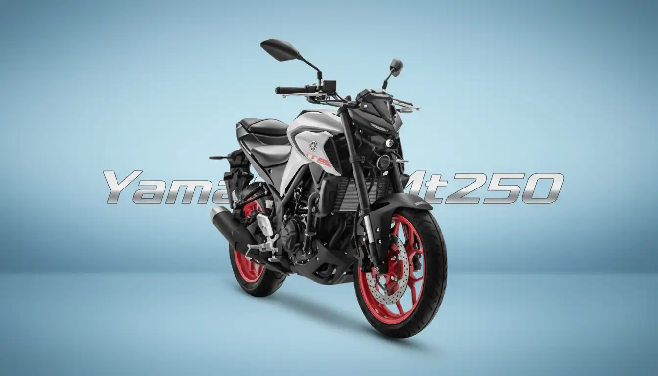MT 25